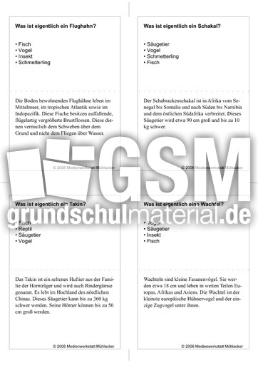 Quiz-Karten-Tiernamen 65.pdf